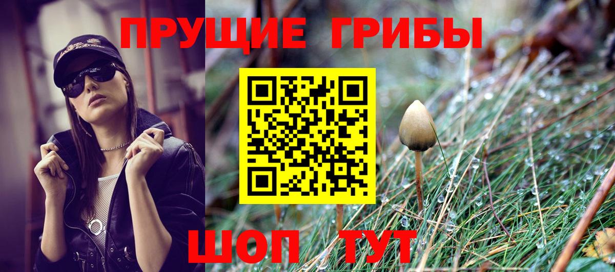 Галлюциногенные грибы мухоморы Саянск