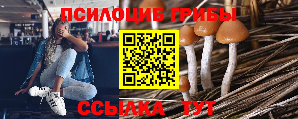 Саянск  как найти   Вход с VPN  Галлюциногенные грибы GOLDEN TEACHER 